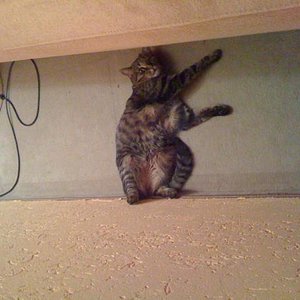 Meine große die Paula