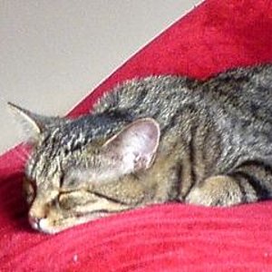 Paulinchen schläft...