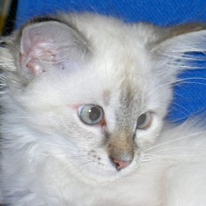 Mein ganzer Stolz ...