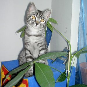 Diese Unschuld täuscht !!