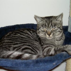 Sooooo brav ist er ganz selten.