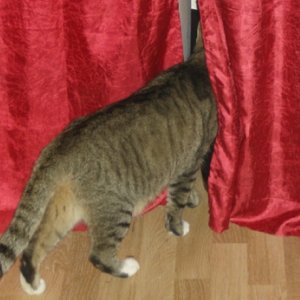 wir suchen schon nach möglichen Verstecken