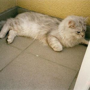 med gallery 11765 1810 309946