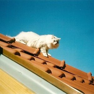 med gallery 11765 1810 181880