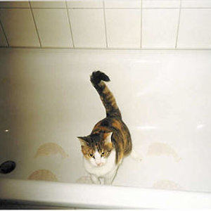 Lisa in ihrem Lieblingsplatz der Badewanne