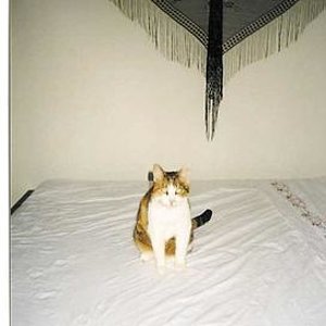 Das Bett braucht eine kuschelige Decke