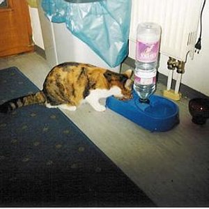 Hier bin ich bei meiner Lieblingsbeschäftigung:FREEEEESSSSSEEENNN