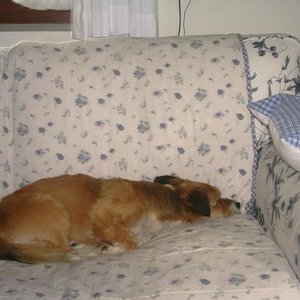 einfach nur müde ...