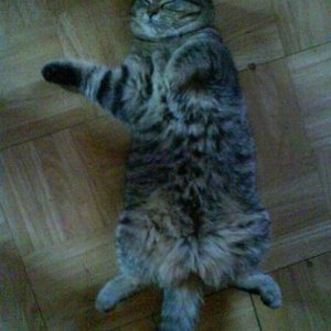 So schläft unsere Emma :-)))