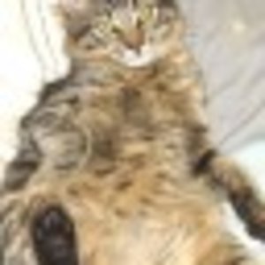 und mal wieder unser Luky !!!
Der meint immer er wäre der Boss