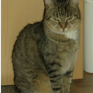 Na?Geblendet von der eigenen Schönheit?