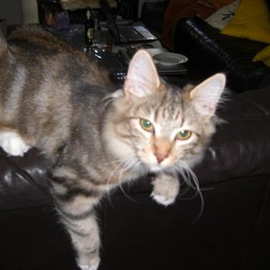 sunny und twister 035