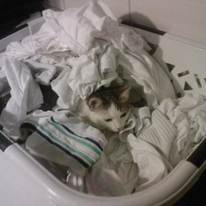 Trixi in der NASSEN Wäsche