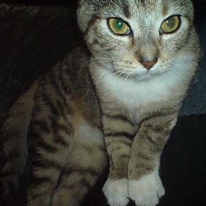 Was ist denn das da für ein Ding in deiner Hand?