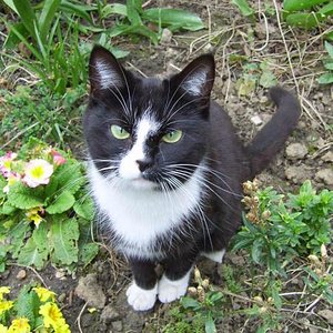 Wie? Ich darf die Blümchen nicht fressen???