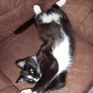 Leonie bei ihren Yoga-Übungen