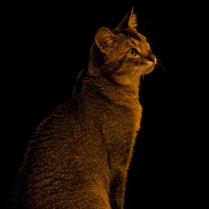 Melvin in höheren Sphären ....