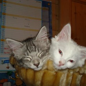 sind wir nicht süüüüß????