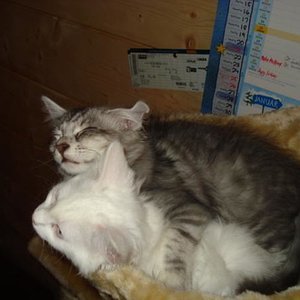 Wir schlafen immer so!! Mal schauen,wie lange wir noch beide darin Platz haben...