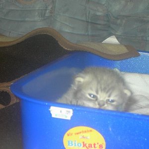 Mist!!! Mein Ausbruchsversuch wurde entdeckt!! Ich verzieh mich lieber wieder bevor Mama kommt und einen ihrer Putzanfälle bekommt!