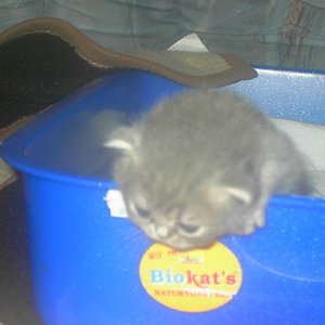 Diese Seite ist auch nicht schlecht!