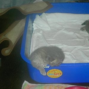 Brüderchen pennt und Mami ist grad mal nicht da. Ich könnte also mal schauen, was es da draussen noch so alles gibt.