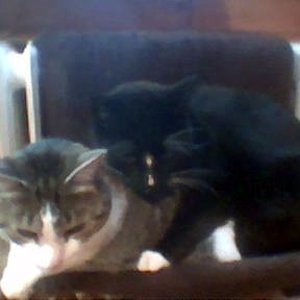 Maiki & Felix - da muß man doch auch zu zweit rein können