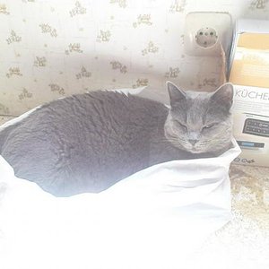 Isis in der tüte beim Sonnenbad