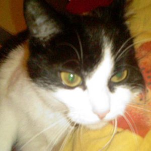 Wie immer bei mir im Bett!!!