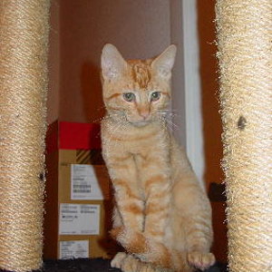 Arthur ist noch recht klein, wird aber bald schon wachsen-