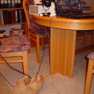 No notebook or wire was harmed in making of this picture...