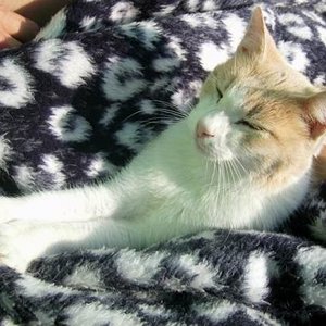 Größenänderung DSCI0171a