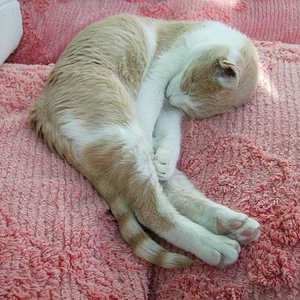 Größenänderung DSCI0237