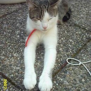 Größenänderung Größenänderung IMG 0004