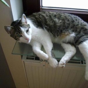 Größenänderung DSCI0030