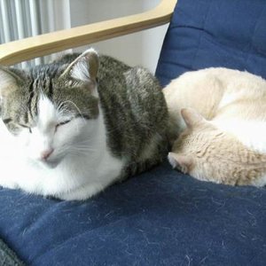 Größenänderung DSCI0325