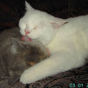 Putzen ist ganz wichtig.