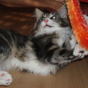 ein bisschen mehr Action wäre ganz ok!