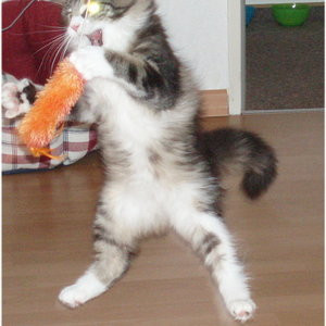 so macht das Spielen Spass..