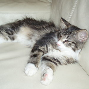 jetzt muss ich mich ein wenig ausruhen