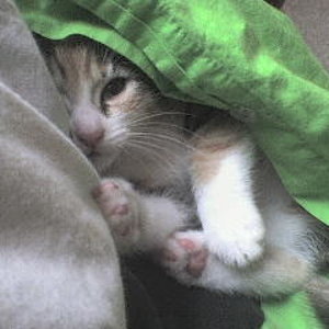 Und nochmal die Püppi...