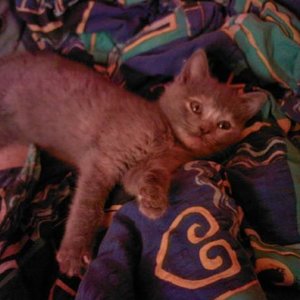 Eines der ersten Bilder