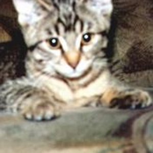 Nici noch ganz klein