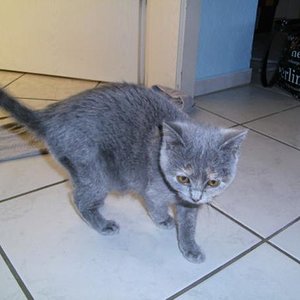 Einmal ein Bild von letzten Mittwoch. Man sieht schon langsam den dickeren Bauch!