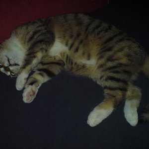 Ich bin nicht tot, das sieht nur so aus