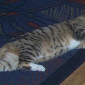 Juhuuuh, ich habs erwischt