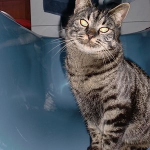 Jaja die Badewanne, die liebt er :D