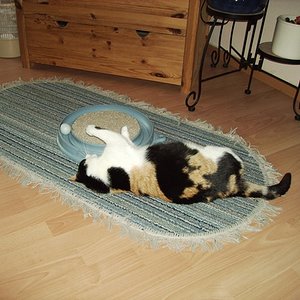 ... endlich mal zu fangen!