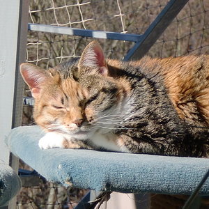 Mein Lieblingplatz in der Sonne, auch bei 36Grad... Summerplace!