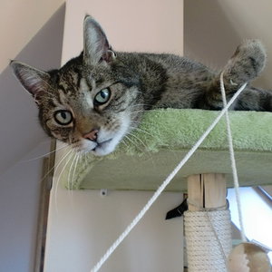 Hey, das Spiel ist ÖDE.